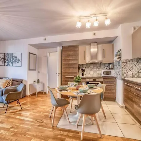 Cosy Flat Direct Access Geneve-airport-palexpo *