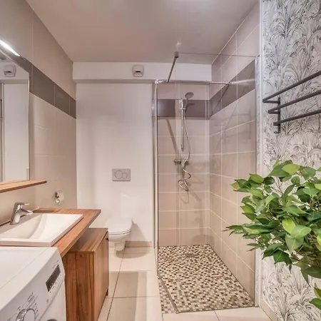 Cosy Flat Direct Access Geneve-airport-palexpo Apartament *